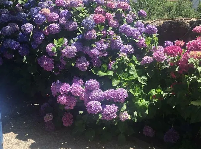 Casa Camino Real * Puerto de Béjar